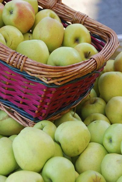 OR, Hood River Valley Basket of green apples